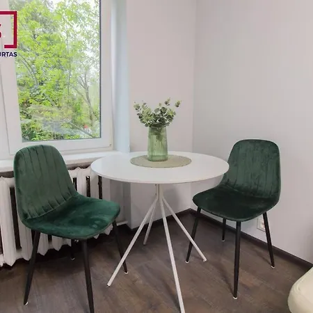 Apartment, 3 Km To Zalgiris Arena Apartment *